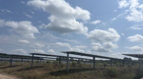 Hodag Solar Park is the first large-scale solar facility in the northwoods and powers local homes and businesses.