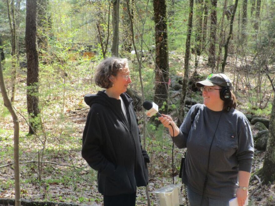 NEPR's Carrie Healy (right) on site with Lynda Mapes at the Witness Tree in the Harvard Forest, Petersham, Mass.
