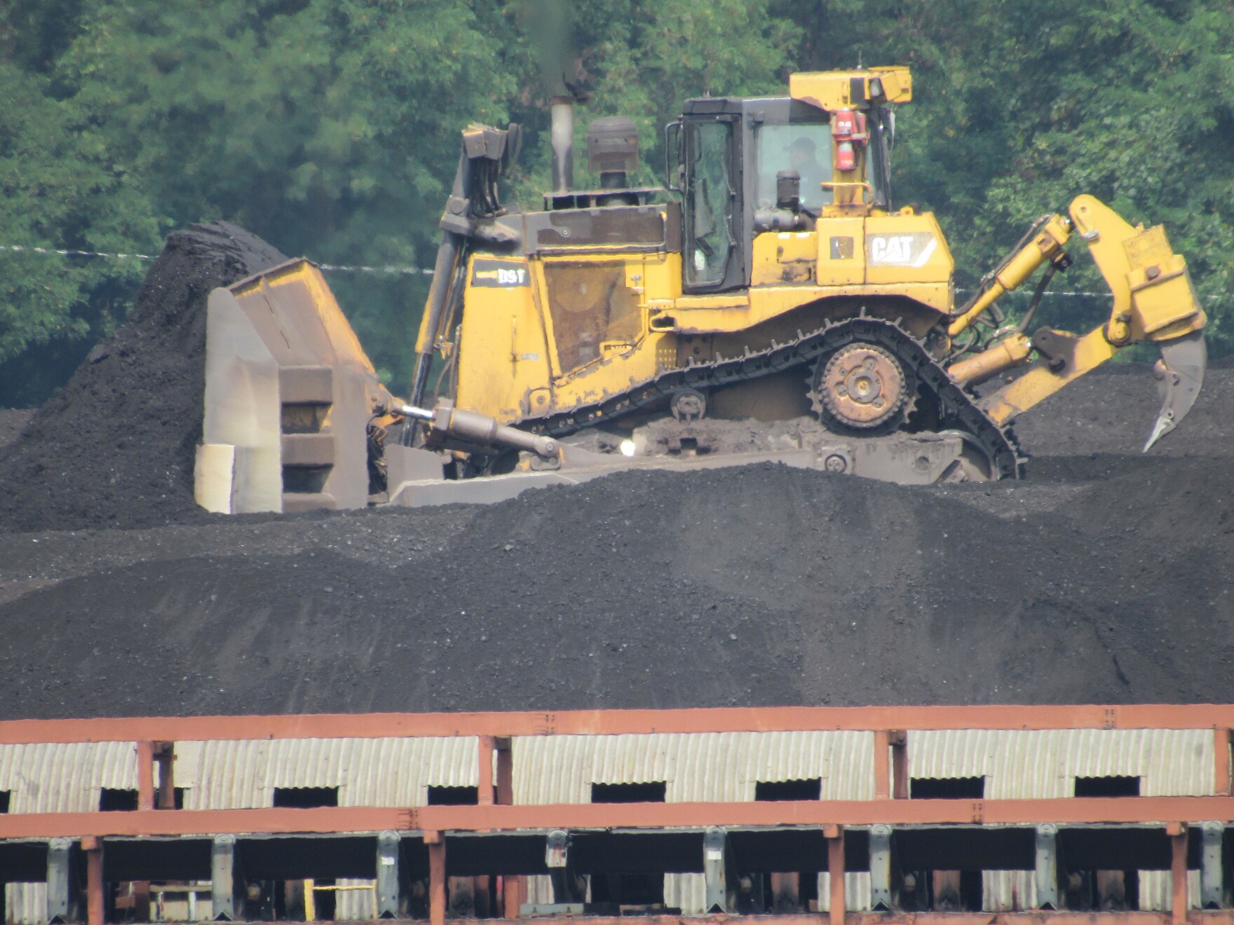 Mountaineer Pile.JPG