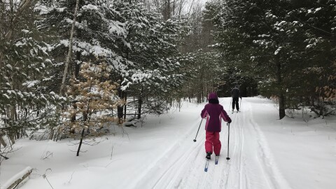 Two people Nordic ski through the woods on a trail in Bowdoinham, Maine.