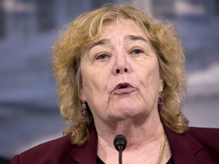 Rep. Zoe Lofgren, D-Calif., says the H-1B program needs a broad reform, including changes to the lottery process that awards the visas.