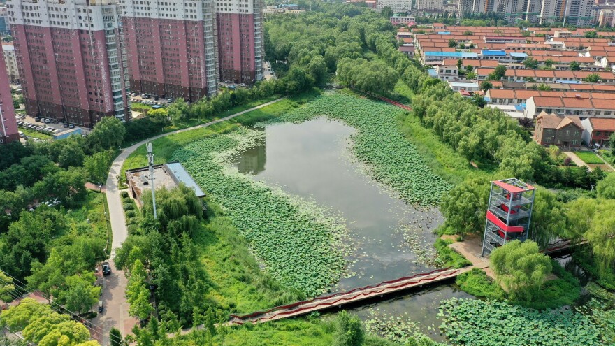 This natural pond helps reserve precipitation in the ecological corridor of Qian'an, a city in China's Hebei province. Like many other Chinese cities, Qian'an used to fall victim to urban flooding during rainy seasons. But things have changed since 2015, when the city was included in a national pilot program for "sponge city" construction.