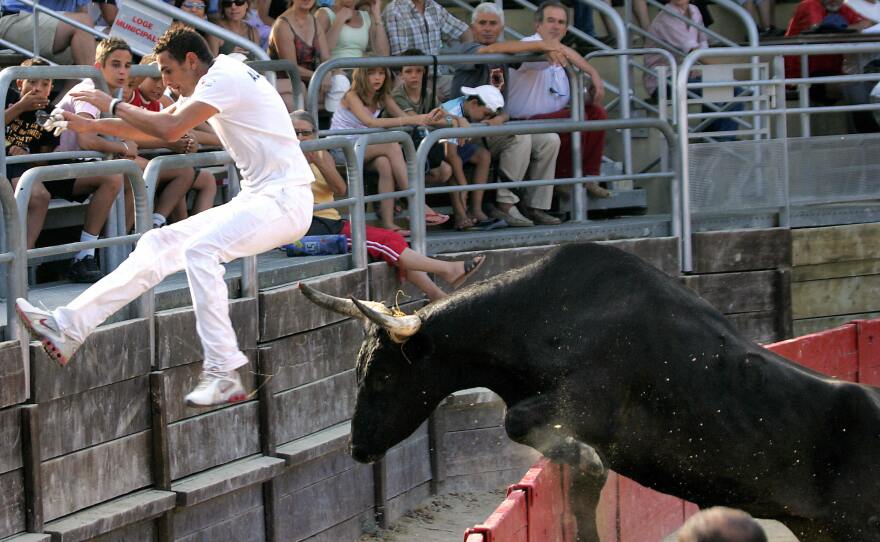 French <em>raseteur</em> Sabri Allouani flees from a bull during a bullfight in Vendargues, southeastern France, in 2006.