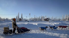 Josi Shelley departs Circle City to mush along the Yukon River to the next checkpoint at Fort Yukon.