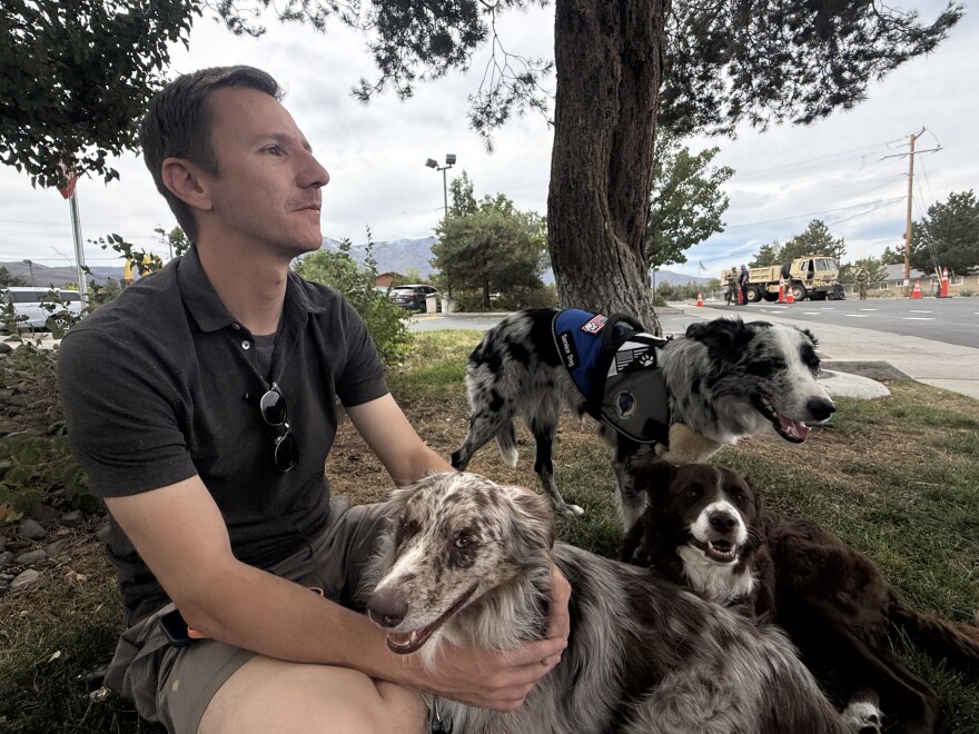 A man sitting under a tree with his three border collies resting or standing by his side.