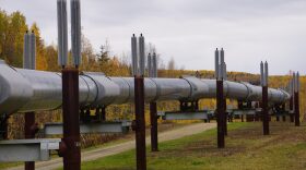 The Trans-Alaska Pipeline is seen on Sept. 19, 2022, in Fairbanks. Thermosyphons, devices that help preserve permafrost by drawing heat from the ground, protrude above the line. This portion of the pipeline, 450 miles south of Prudhoe Bay, has been transformed into a visitor pullout and is a tourist attraction.