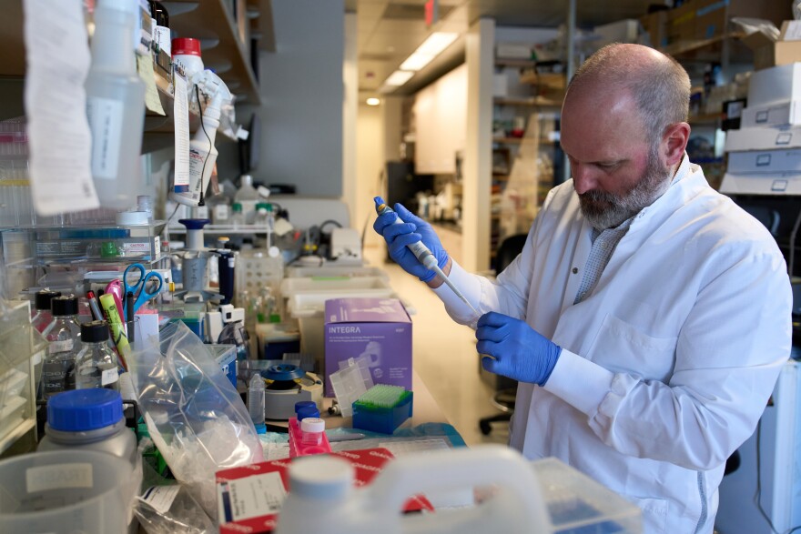 Todd Michael, a research professor at the Salk Institute for Biological Studies, works at his lab in San Diego, Wednesday, Dec. 3, 2025.