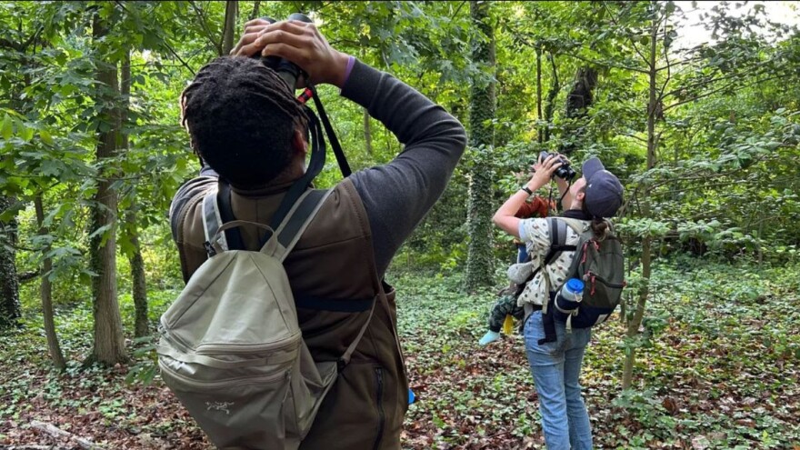 Tykee James, president of the DC Audubon Society, and Erin Connelly, holding her 10-month-old son, Louis, search in the treetops for birds in Fort Slocum Park in Washington, D.C.