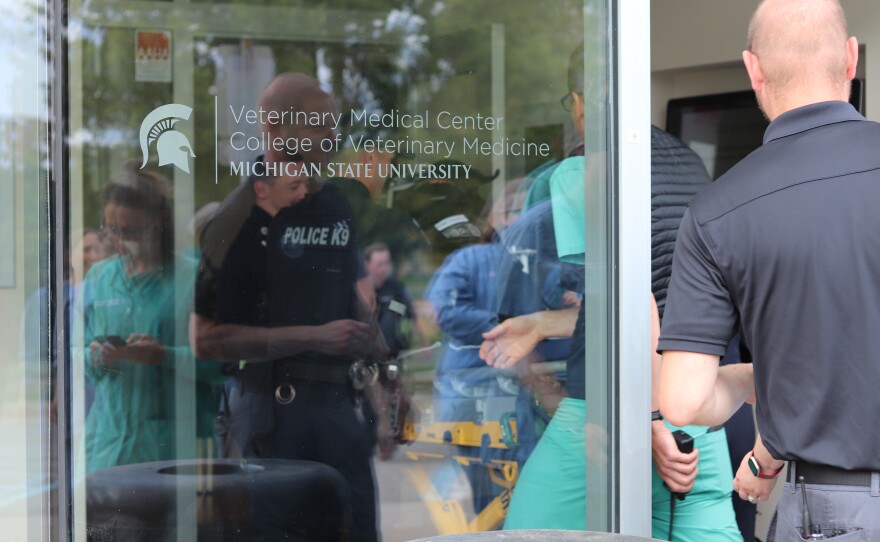 Police and veterinary staff push a stretcher through the doorway to MSU’s Veterinary Medical Center.