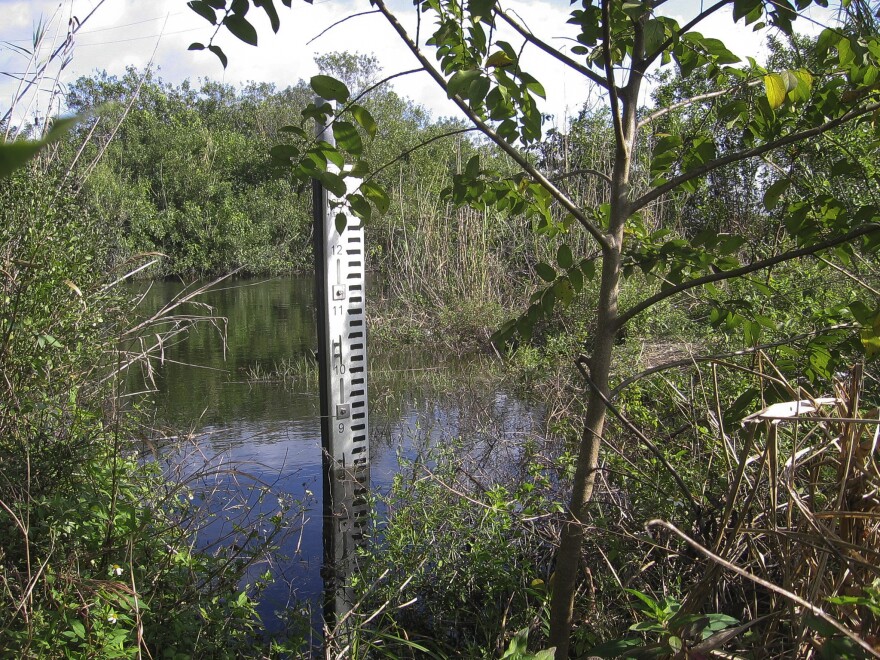 A water marker south of Tamiami Trail shows the current level, about 7.5 feet. Park hydrologists say that level will rise to nearly 10 feet, once the next phase of Everglades restoration is complete.