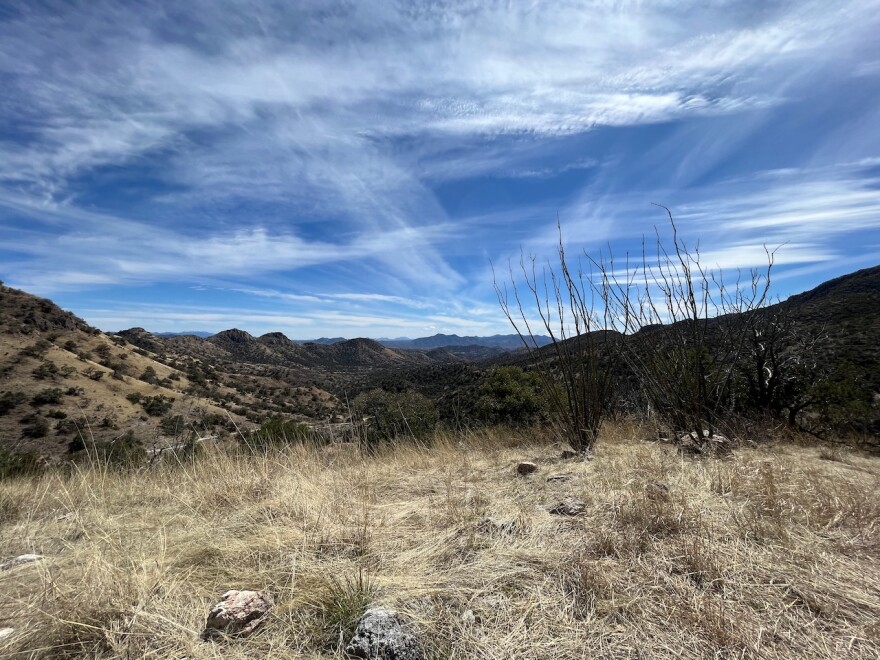 The area near Patagonia, Ariz., near the U.S.-Mexico border is home to endangered species like jaguar and Mexican spotted owl along with riparian areas and other watersheds.