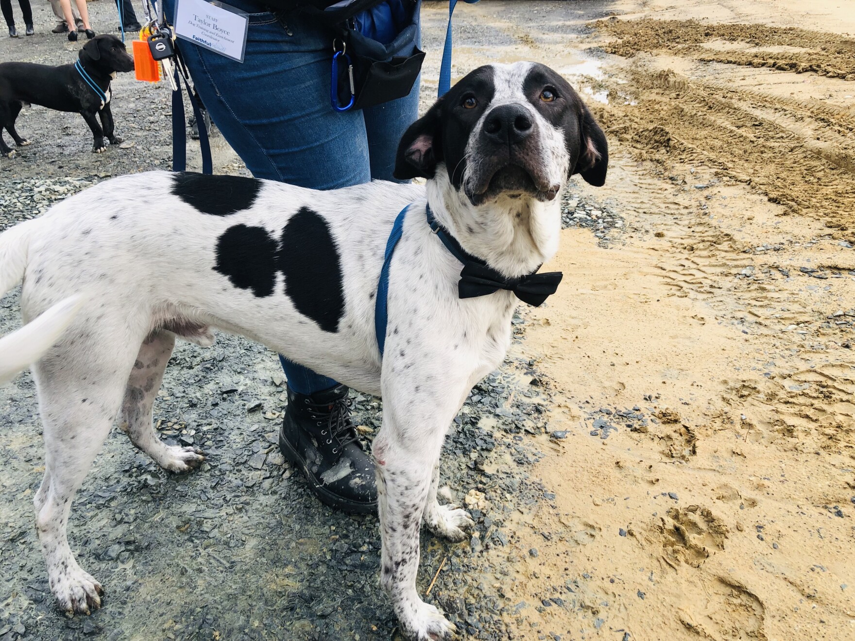 Faithful Friends breaks ground on new, bigger facility | Delaware ...
