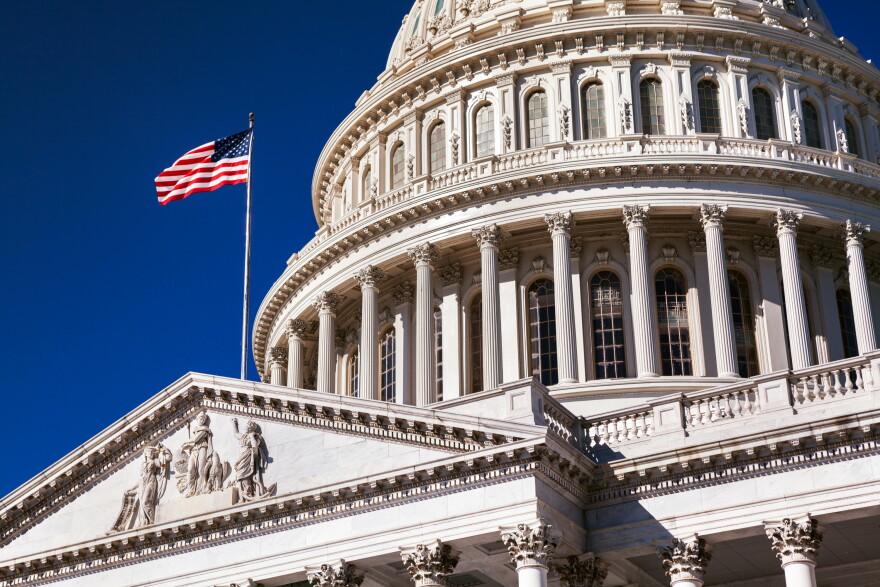United States Capitol and the Senate Building, Washington DC.