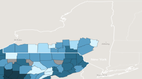 A team of researchers at the University of Rochester Medical Center will investigate methods of treating opioid use disorder in New York's Southern Tier and other parts of Appalachia.