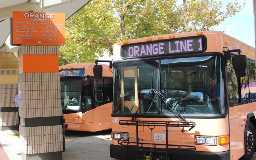 Orange buses 