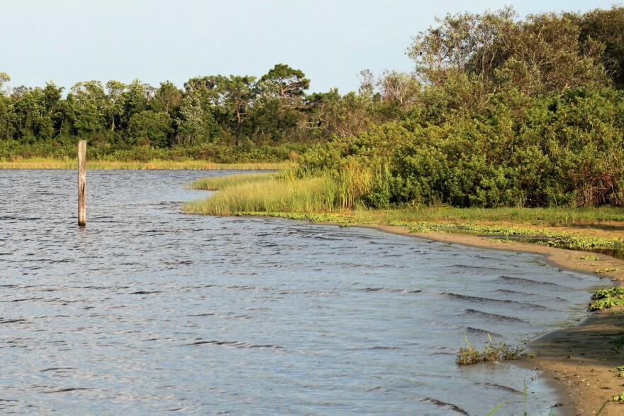 A lake surrounded by vegetation.