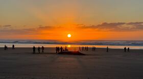 A whale lies on a beach. The sun is setting over the water. People are milling around in the background.