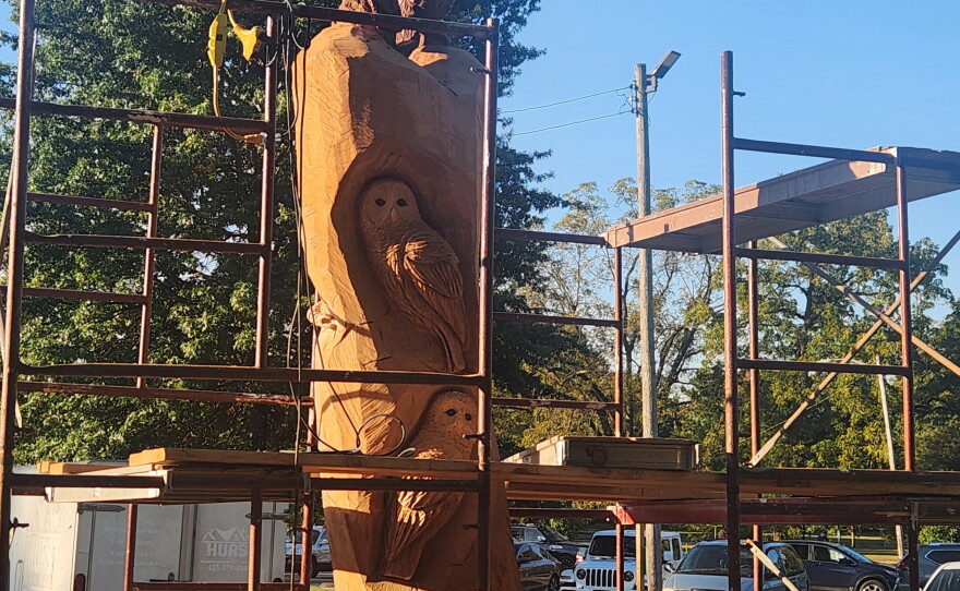 Barred owls peek out from a tree stump in an artwork being created by Louis Medlock at Phelps Grove Park in Springfield, Mo. (Photo taken October 9, 2026)