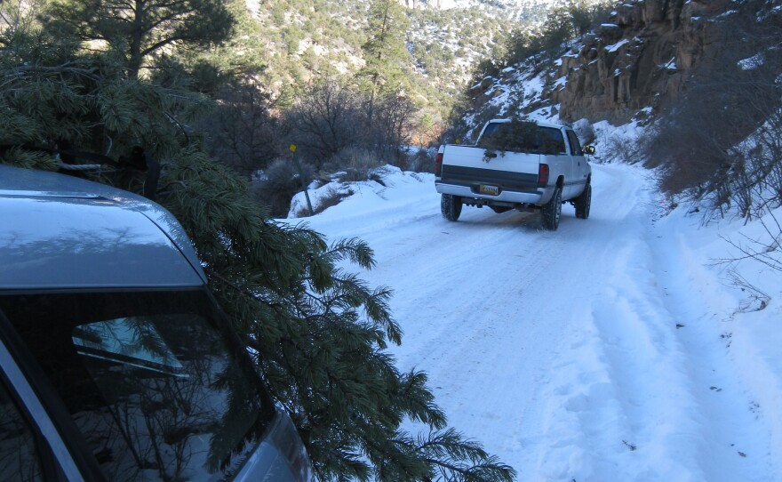 Christmas tree cutters brave snowy roads in Jemez.