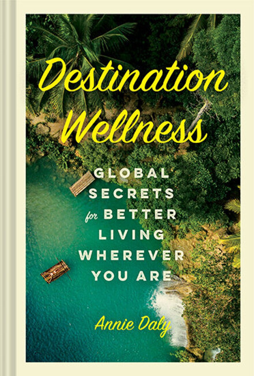 Destination+Wellness_RESIZED+COVER.jpg