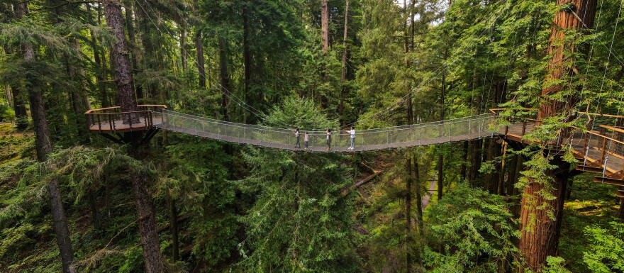 Visitors to the Sequoia Park Zoo in Eureka, California can experience the Redwood Sky Walk.