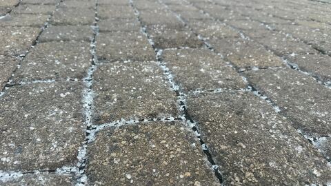 Salt covers the sidewalk outside the Harris YMCA.