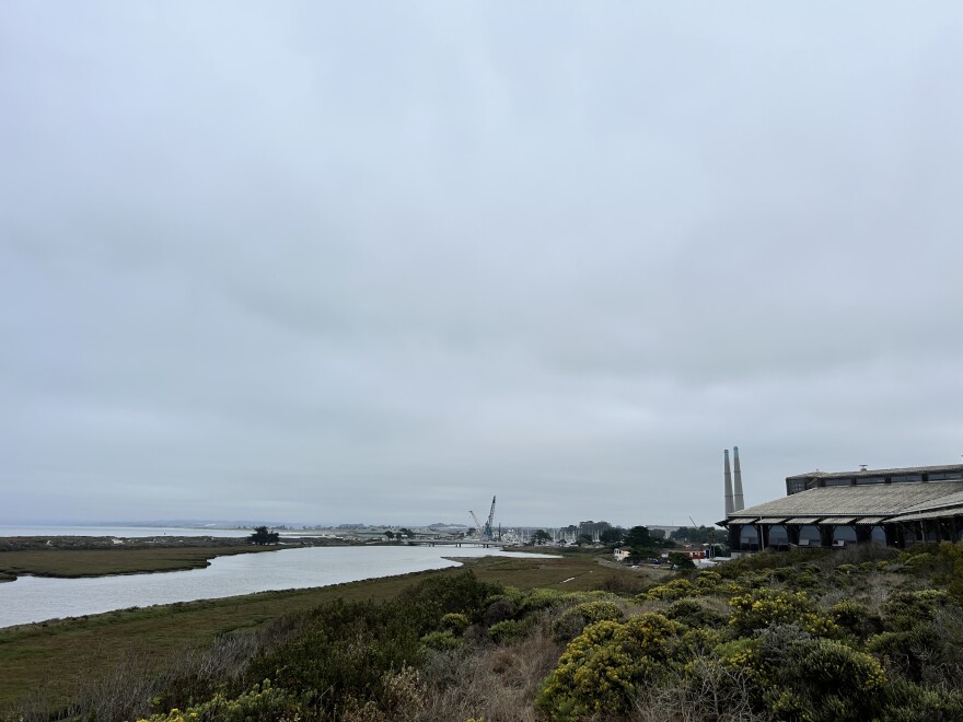 In the foreground, various coastal plants lead down toward a waterway. In the distance, two tall towers are visible in front of a cloudy sky.