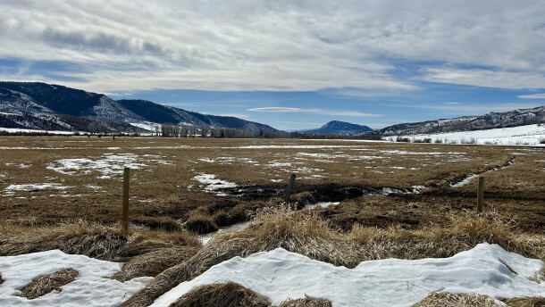Meadows in north Routt County, Colorado, were bare in spots on Feb. 9 after a slow start to this winter's snowpack. Routt County is among 70 groups signing onto a letter asking Congress for $2 billion for a drought response program.