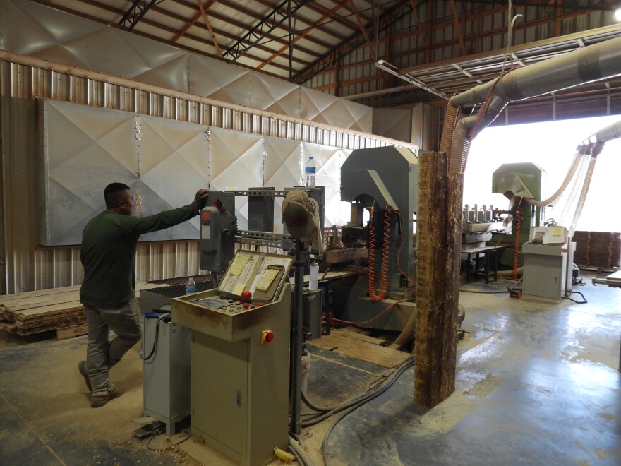 A HempWood employee runs the saw, trimming the rough edges of the boards. The boards are made from hemp stalks pressed together and bound with a soy-based glue.