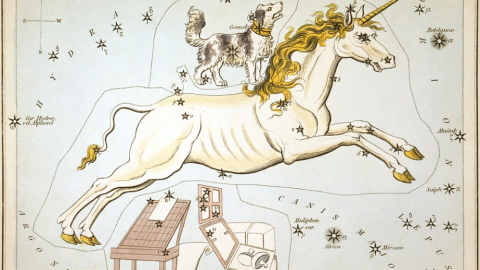 They can't all be winners: Astronomical chart showing the constellations of Monoceros, Canis Minor and the obsolete constellation Atelier Typographique (Officina Typographica).