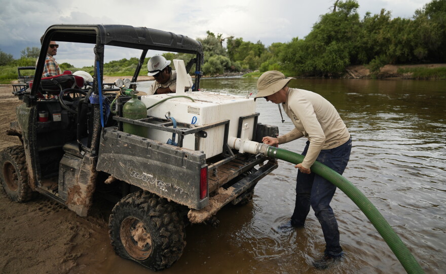 Biologists attach a hose to an oxygenated cooler to release the rescued Rio Grande silvery minnows into a spot where the river is running again on Tuesday, July 26, 2022, in Albuquerque, N.M. Years of drought, scorching temperatures and an unpredictable monsoon season are zapping what's left of its habitat, leaving officials with little recourse but to hope for rain. (AP Photo/Brittany Peterson)