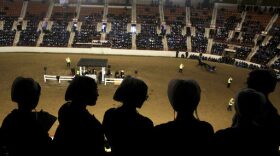 Teenage girls gather to watch a harness horse auction at the Pennsylvania Farm Show Complex Wednesday Jan.17, 2018 in Harrisburg, Pa. (AP Photo/Jacqueline Larma)
