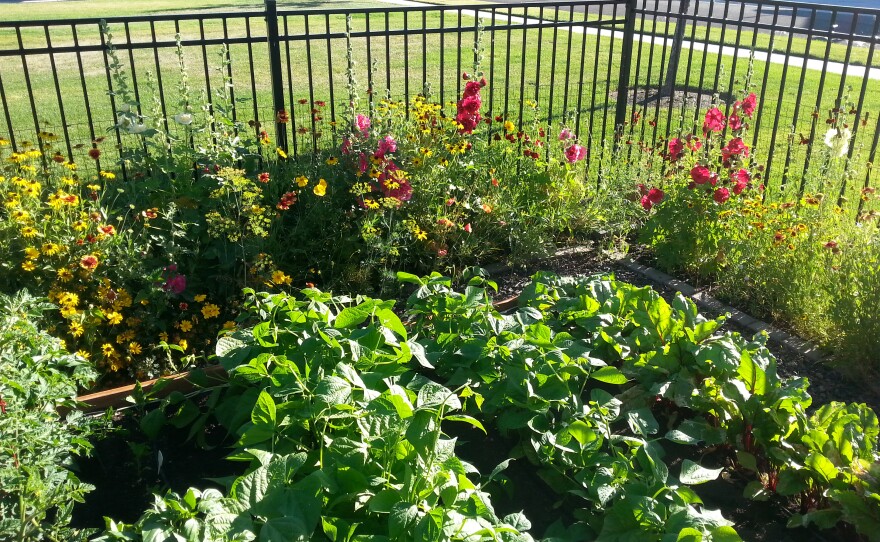 Norm's garden and Paula's flowers.