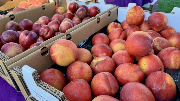 White and yellow nectarines from Blossom Bluff Orchards for sale at the 18th annual Organic Stone Fruit Jubilee in Kingsburg, June 27.