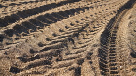 Truck beach tire tracks