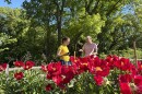 Two women stand talking behind a row of bright red peony flowers