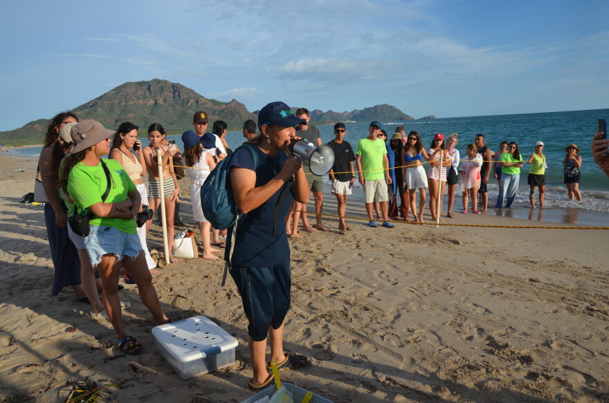 Coria addresses beachgoers gathered to watch the first sea turtle release of the season.