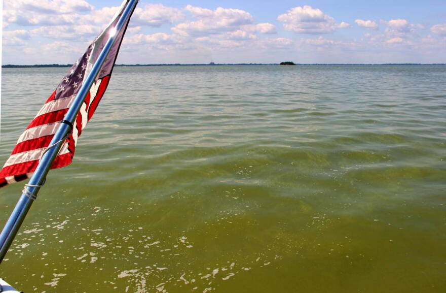 A bloom of cyanobacteria in Lake Erie.