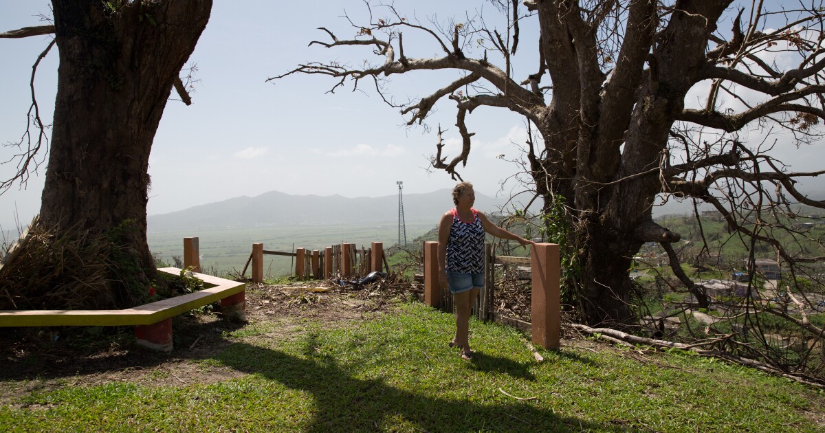 From San Juan To Humacao, Recovery In Puerto Rico Can Come At Different Paces Connecticut Public