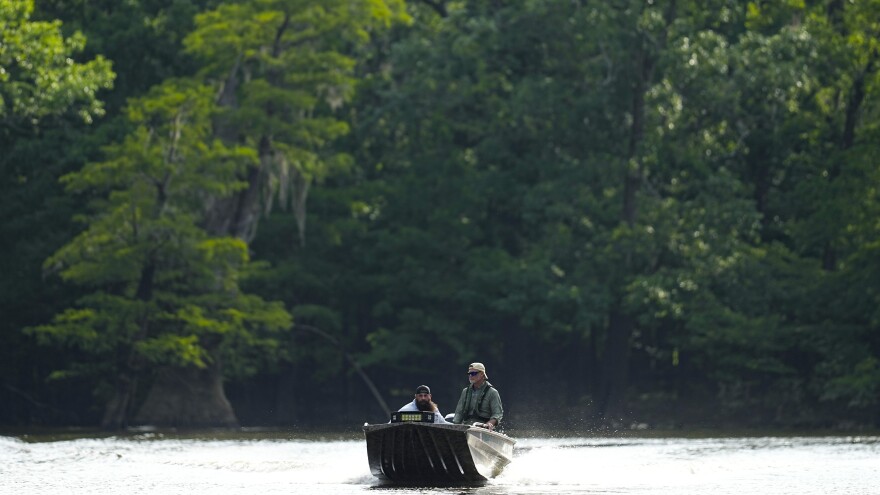 Pat O'Neil, right, a biologist and former deputy director of Alabama Geological Survey, boats along a tributary of the Tombigbee River at the top of the Mobile–Tensaw Delta, Wednesday, June 5, 2024, near McIntosh, Ala (AP Photo/Mike Stewart)