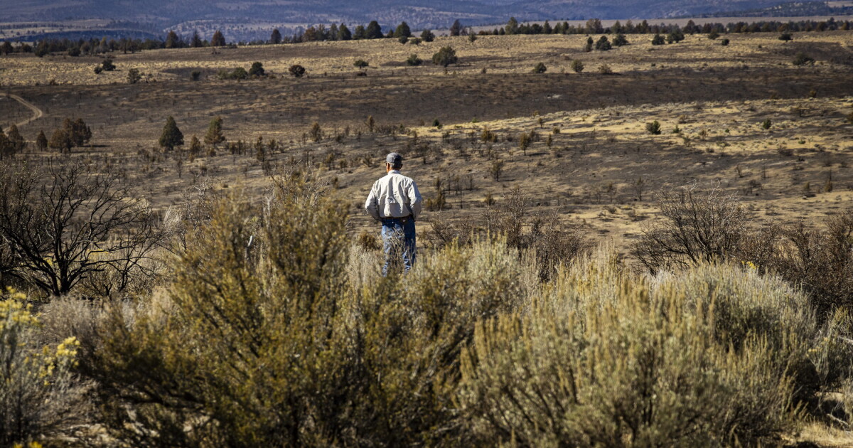 In lives and homes, 2026 wildfire season exacted a high toll — and it's not over yet