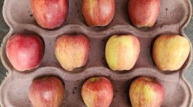 Three rows of apples in a carton.