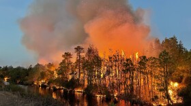 A wooded area is on fire. In front of the trees is a stream or similar waterway. Large clouds of ash climb into a periwinkle sky at dusk