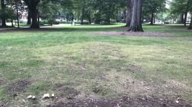 A patch of new grass shows where the Confederate statue known as Silent Sam once stood.