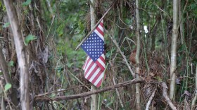 Vince Kolb-Lugo/SC Public Radio