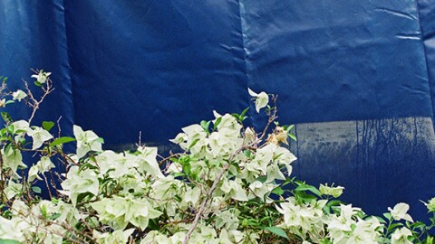 A photograph from Alexandra Hulsey's ongoing body of photography that captures the textures of Fair Park.