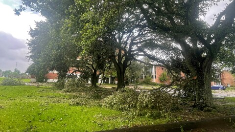 Damaged limbs hang from trees on the University of New Orleans campus in the Lake Terrace/Lake Oaks neighborhood after early morning storms from Tropical Storm Arthur swept through the city early Thursday, June 18, 2026.