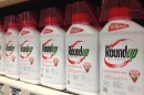 Roundup, the Monsanto brand name pesticide built on the chemical glyphosate, is used on farm fields and on lawns and gardens.