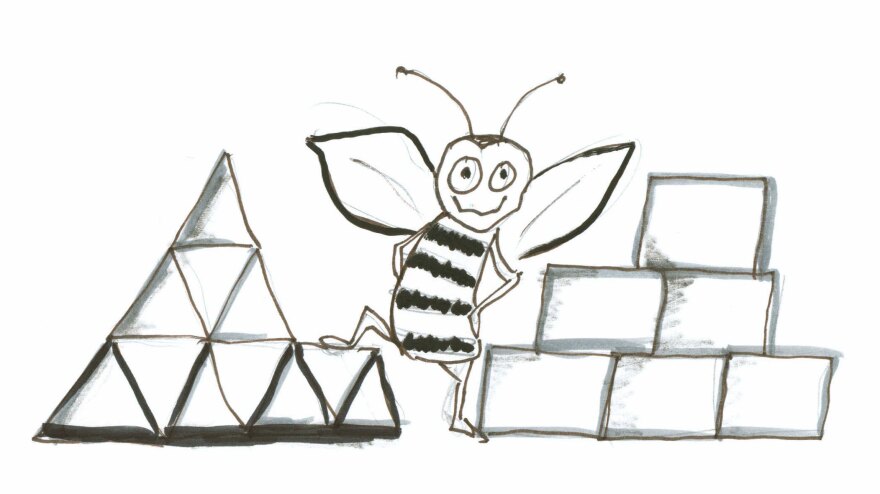 Bee with triangles and squares