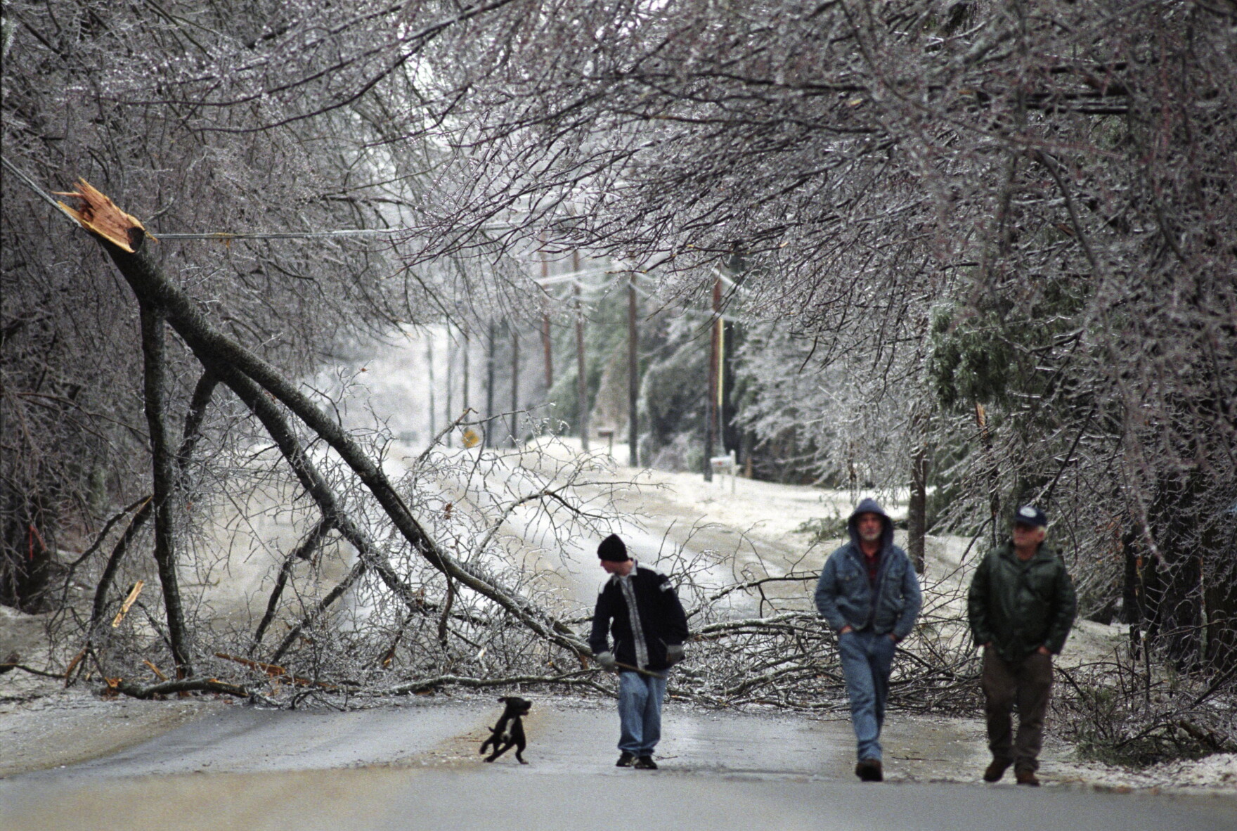 The Ice Storm Of '98 Bore Down On Maine 20 Years Ago This Month | Maine ...